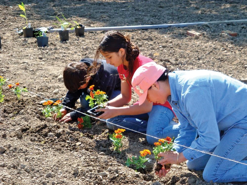  Courtesy Photo / GVSU Community Garden                            