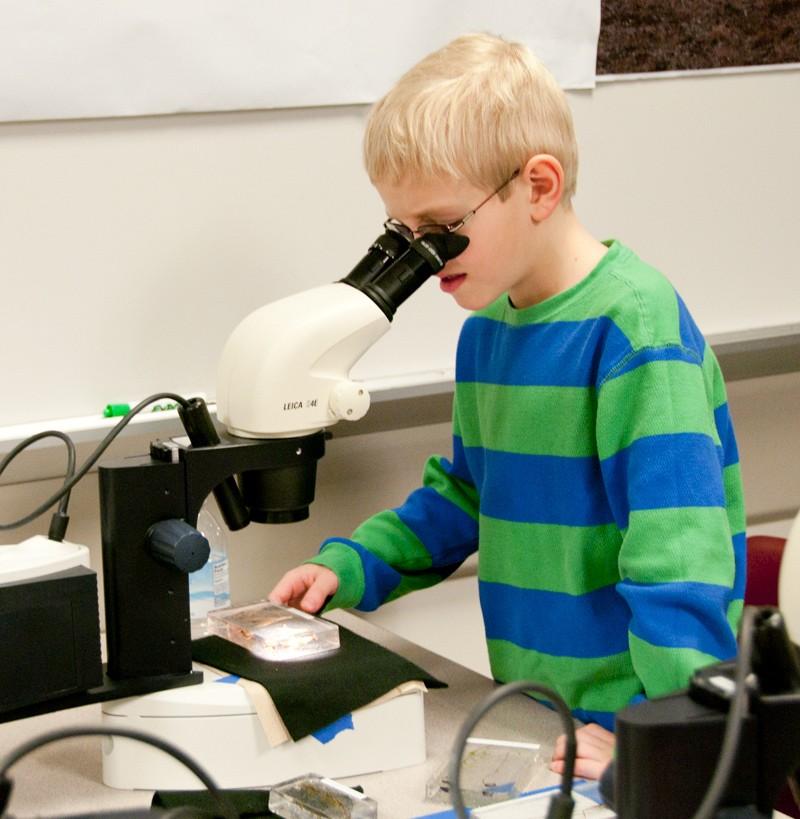 Young scientist Dustin Voglmeyer inspect ssome slides through a microscope at Super Science Saturday.