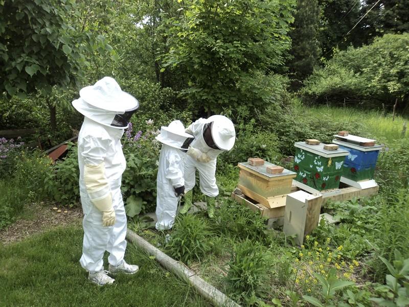 Courtesy Photo/ Ann Marie Fauvel 
Professor Ann Marie Fauvel and her children visit her personal beehive during the 2011 season.