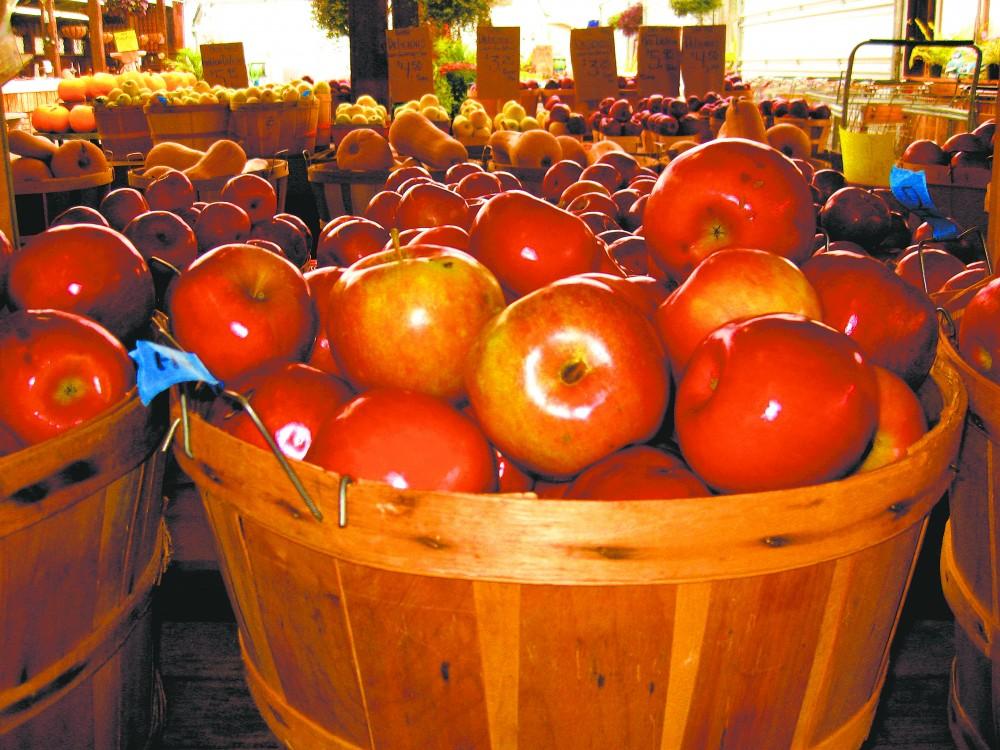 GVL / Haley Otman
Hand picked apples in Motmans
