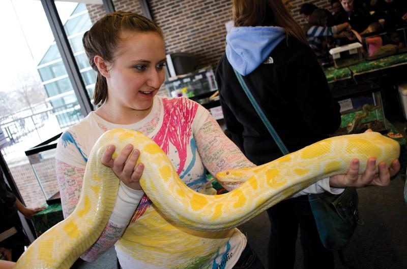 GVL / Bo Anderson 
Jessica Hollenbeck holding a snake at the reptile exhibit during Sibs and Kids Weekend at GVSU.