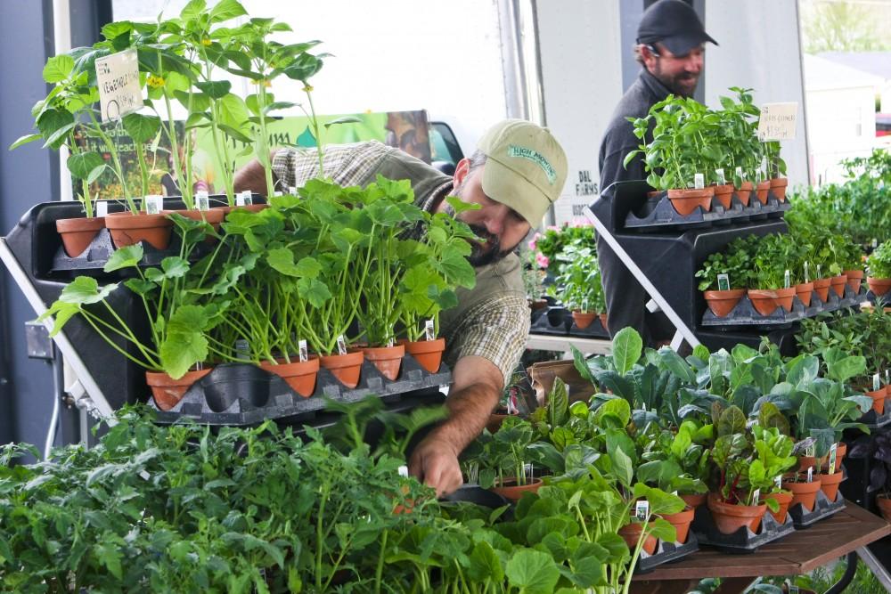 GVL / Eric Coulter
Greg Dunn of Trillium Haven Farms in Jenison puts some plants out to sell at the opening day of the Fulton Street Farmers Market