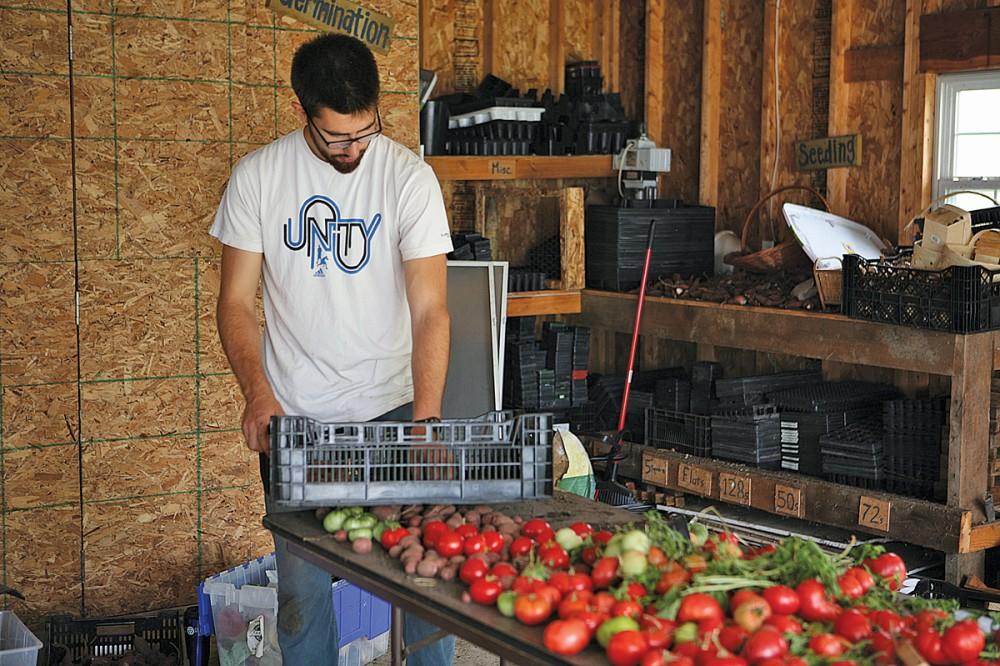 GVL / Ellie PhillipsYoussef Darwich, President of the Farm Club, sorting vegetables harvested for the party. 