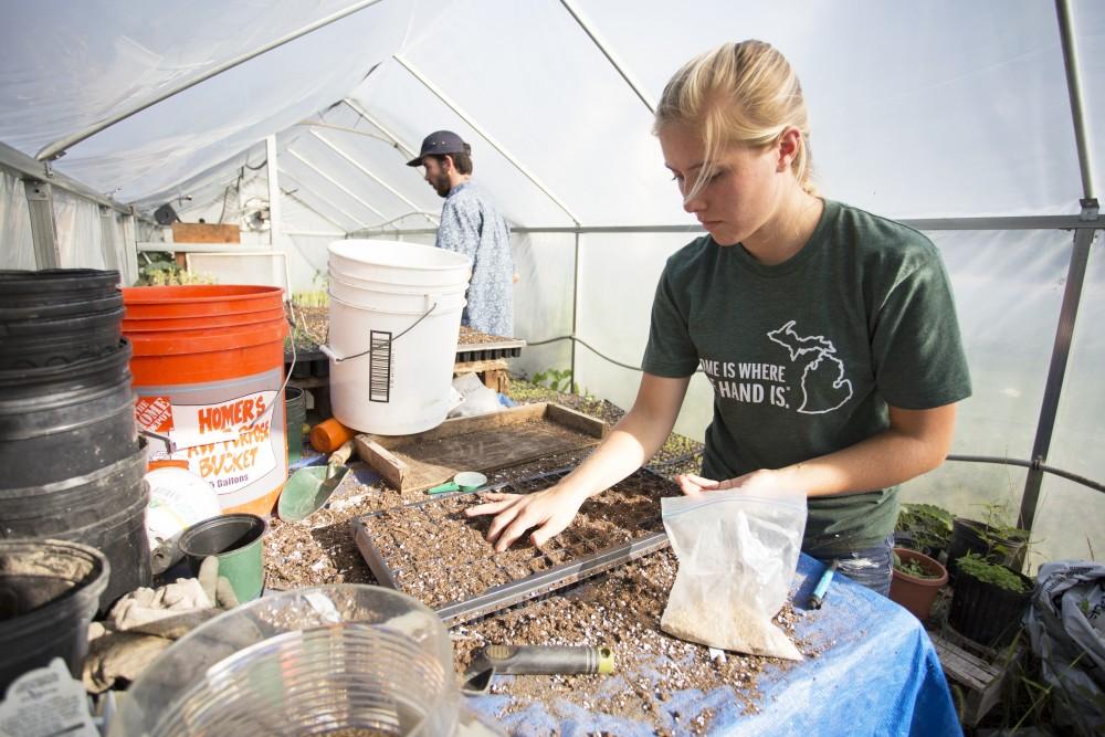 GVL / Kevin Sielaff
Allyse Bechelder works in a greenhouse planting seeds on Sept. 15. Grand Valley's Sustainable Agriculture Project aims to promote local awareness concerning the environment and sustainability efforts. 