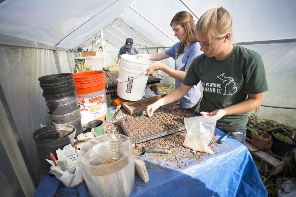 GVL / Kevin Sielaff
Allyse Bechelder works in a greenhouse planting seeds on Sept. 15. Grand Valley's Sustainable Agriculture Project aims to promote local awareness concerning the environment and sustainability efforts. 