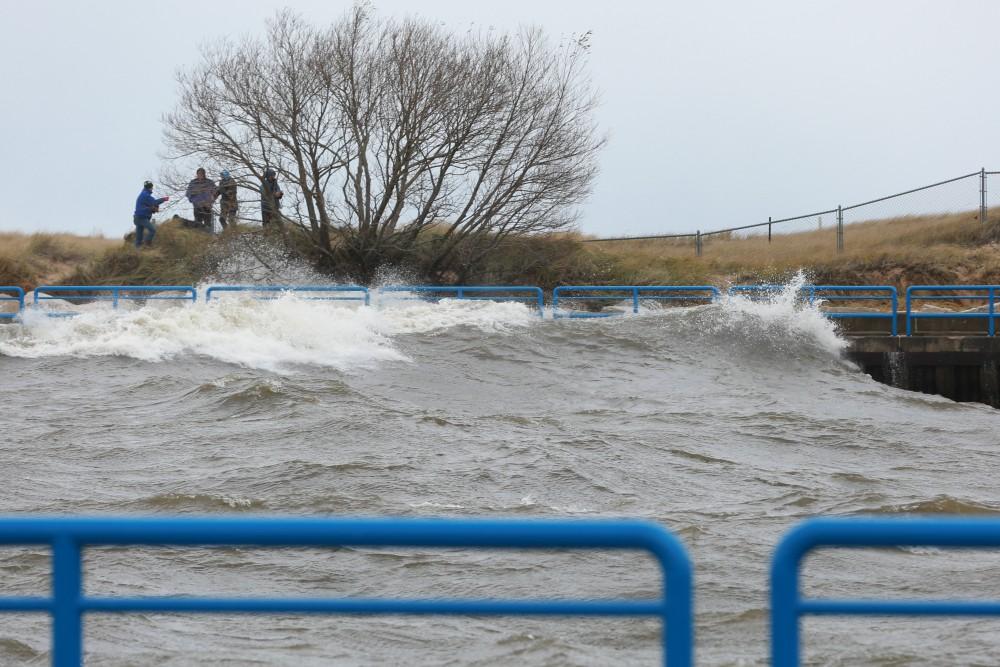 GVL / Kevin Sielaff - Large waves slam the shoreline of Grand Haven State Park Nov. 14.