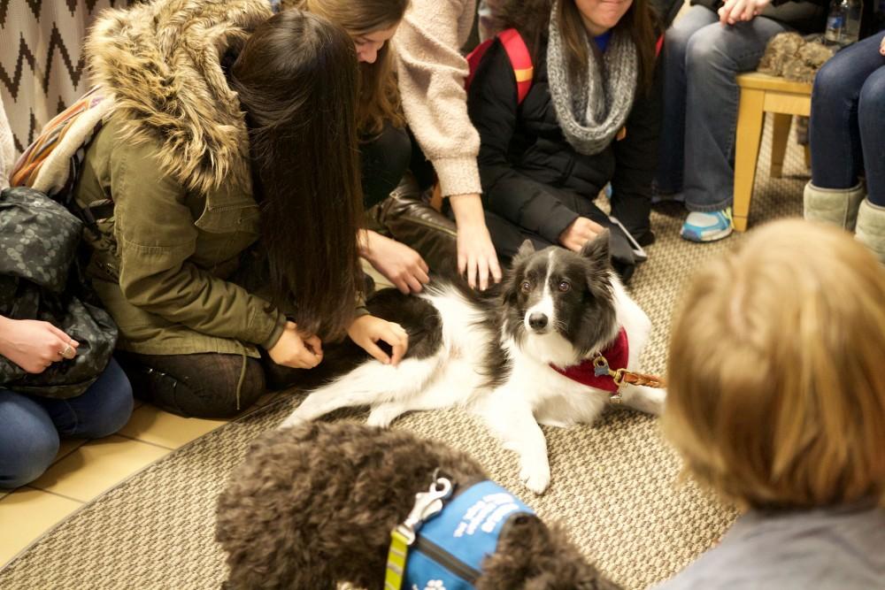 GVL / Sara Carte
Grand Valley students play with therapy puppies to relieve stress from finals week in the Kirkhof building on Dec. 7.