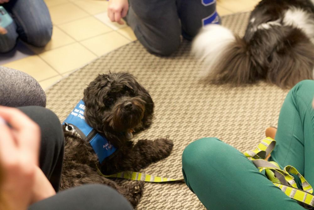 GVL / Sara Carte
Grand Valley students play with therapy puppies to relieve stress from finals week in the Kirkhof building on Dec. 7.