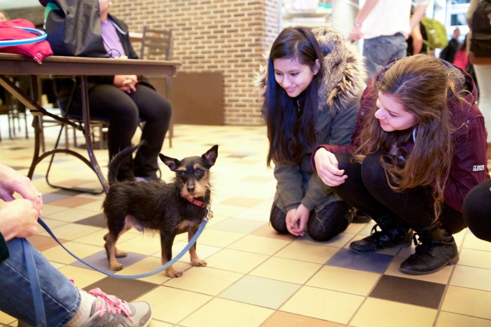 GVL / Sara Carte
Grand Valley students play with therapy puppies to relieve stress from finals week in the Kirkhof building on Dec. 7.