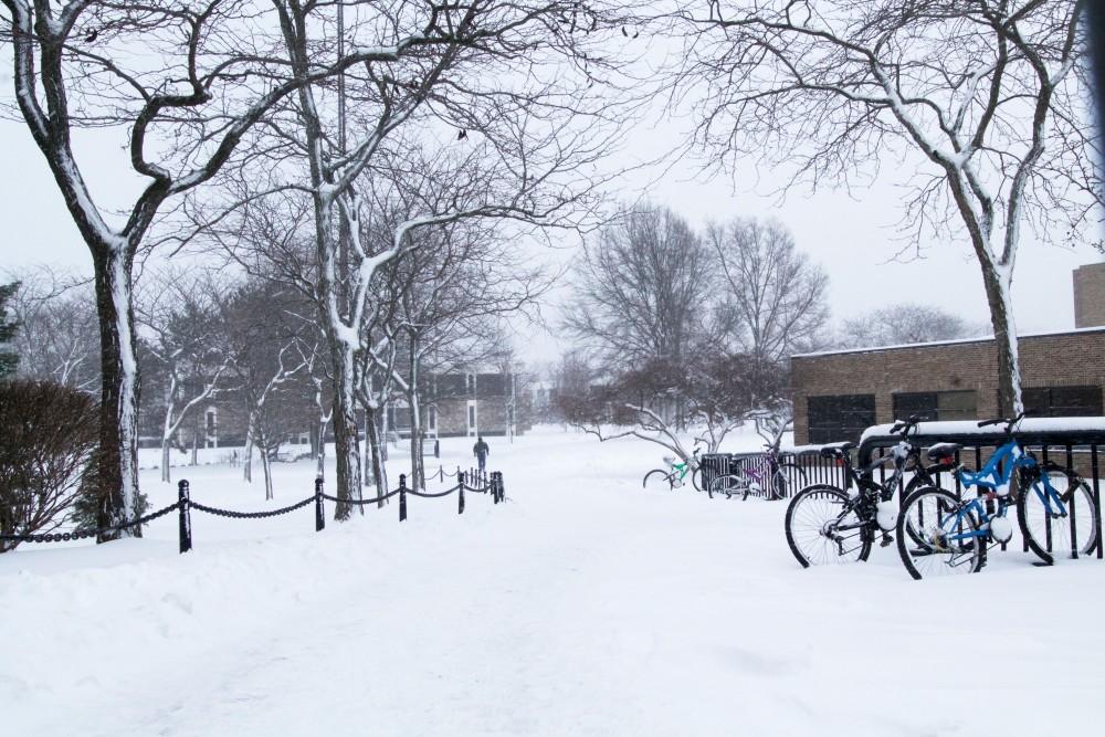 GVL / Sara Carte
Grand Valley State University recieves their first heavy snowfall of the year on Jan. 12.