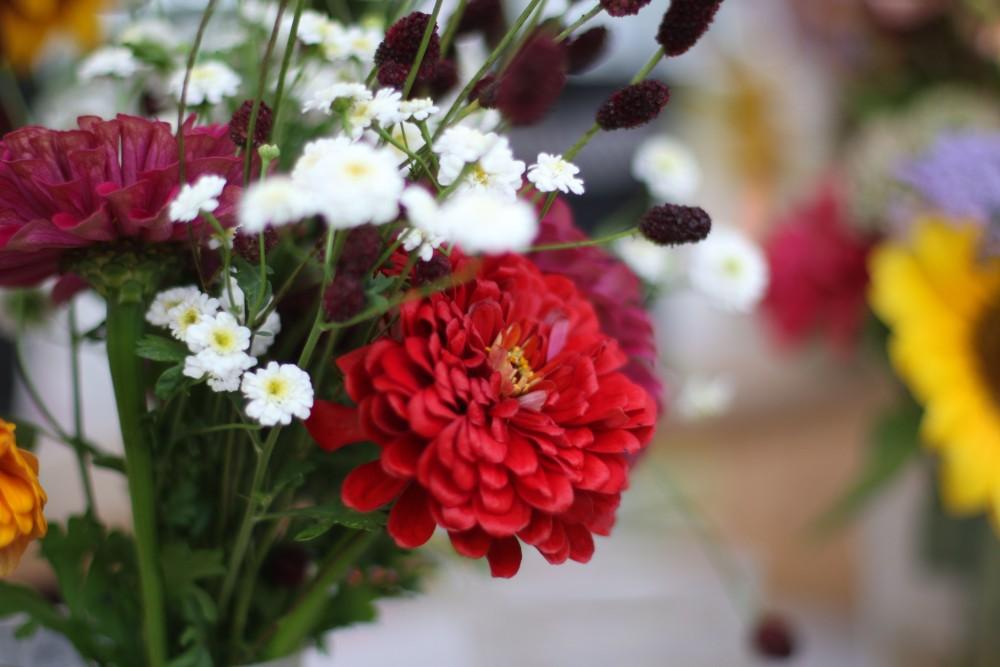 GVL / Luke Holmes - Flowers are sold at the Farmers Market in Parking Lot G on Wednesday, Sept. 7, 2016.