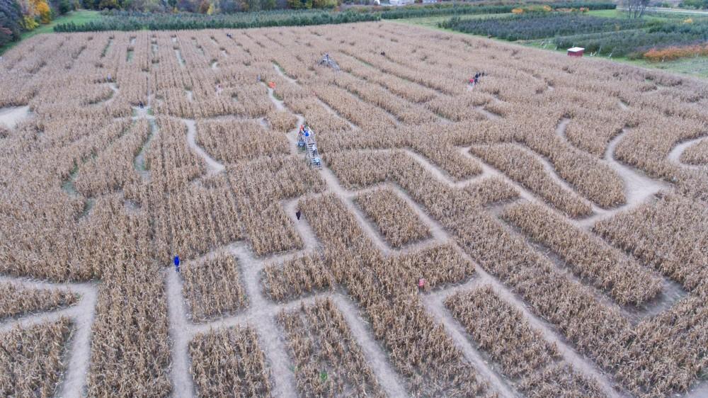 GVL/Kevin Sielaff - An aerial view of the Halloween themed corn maze at Robinette's Apple Haus & Winery on Sunday, Oct. 30, 2016.  