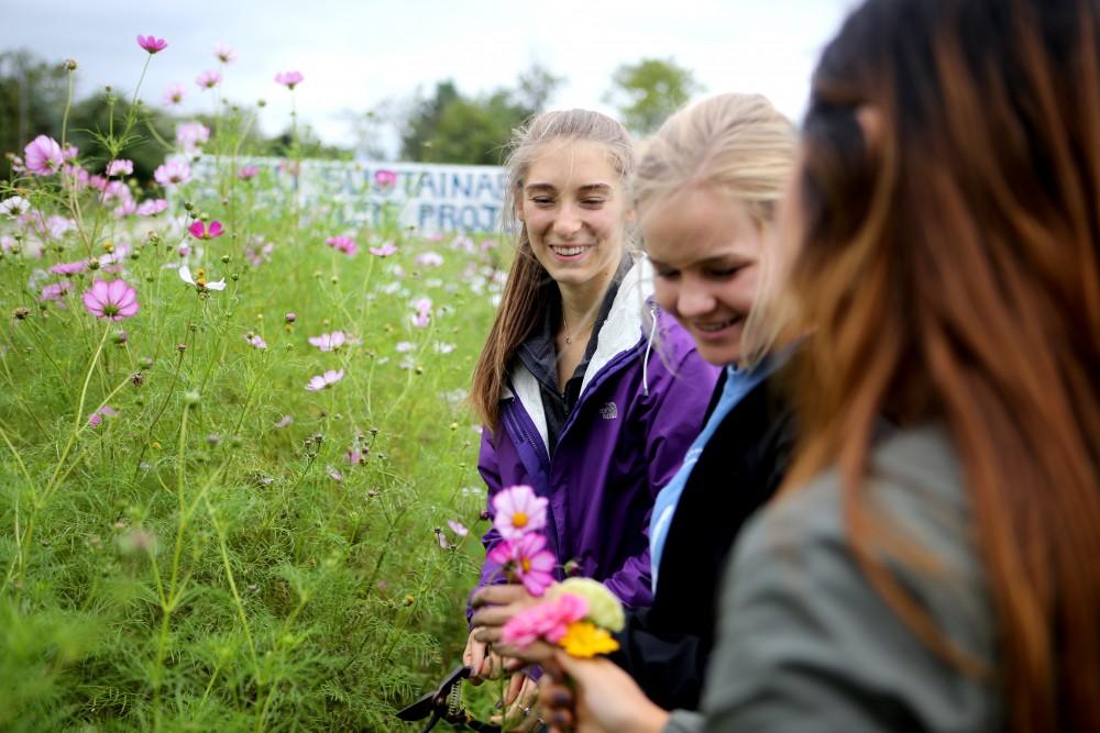 GVL / Emily Frye    
Jinah Bak plucks, along with other Grand Valley students, pluck flowers at the GVSU Sustainability Farm on Friday Sept. 30, 2016.