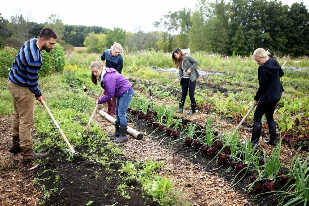 GVL / Emily Frye    
Youssef Darwich (far left) assists some Grand Valley student volunteers at the GVSU Sustainability Farm on Friday Sept. 30, 2016.