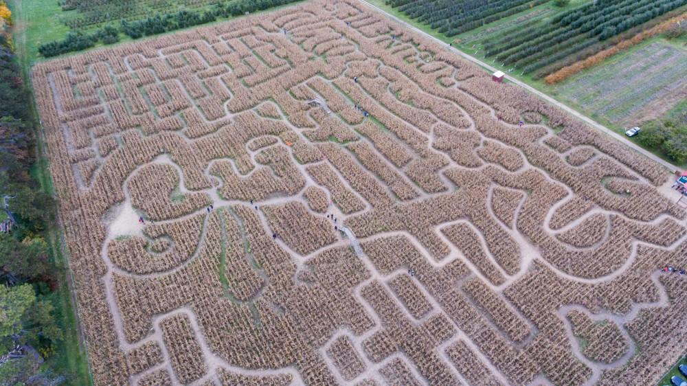 GVL/Kevin Sielaff - An aerial view of the Halloween themed corn maze at Robinette's Apple Haus & Winery on Sunday, Oct. 30, 2016.  