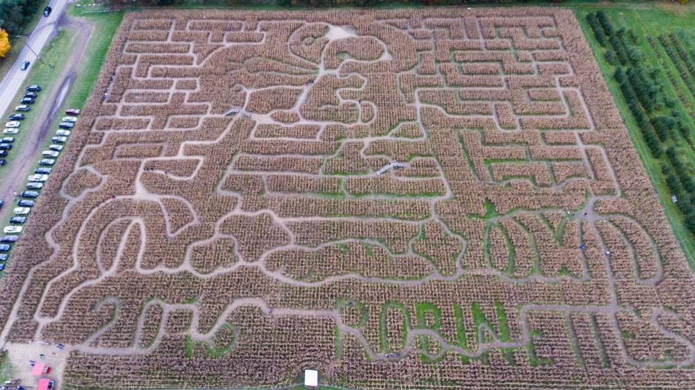 GVL/Kevin Sielaff - An aerial view of the Halloween themed corn maze at Robinette's Apple Haus & Winery on Sunday, Oct. 30, 2016.  