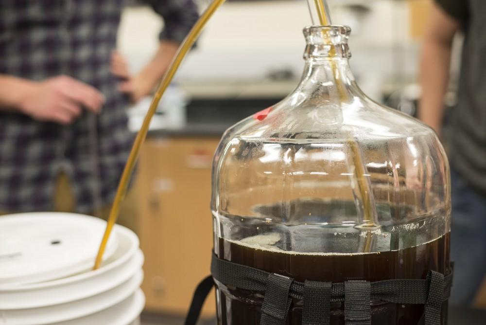 GVL / Luke Holmes - Students siphon their beer. Biology professor, Mark Staves, teaches the CMB 350 Foundations of Brewing course.