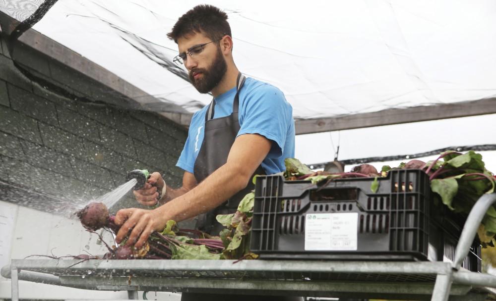 GVL/Kevin Sielaff - Youssef Darwich washes beets on Tuesday, Sept. 30, 2014 at Grand Valley's Sustainable Agriculture Project farm. Darwich will be the first to present at “Climate Change—It’s in Our Hands: How Food Choices Impact the Earth” which will be held Tuesday, Jan. 24, at the L.V. Eberhard Center from 7 p.m. to 9 p.m.