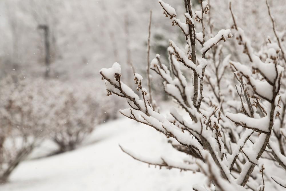 GVL/Luke Holmes - Grand Valley's campus is blanketed with snow on Friday, Nov. 20, 2015.