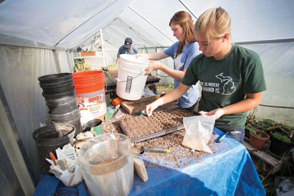 GVL/Kevin Sielaff - Allyse Bechelder works in a greenhouse planting seeds on Tuesday, Sept. 15, 2015 Grand Valley's Sustainable Agriculture Project aims to promote local awareness concerning the environment and sustainability efforts. 