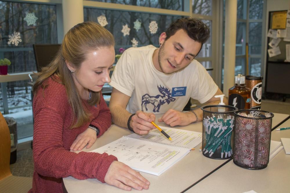 GVL/Mackenzie Bush - Daniel Taccolini and Haleigh Hunter work together in the Writing Center Tuesday, Jan. 17, 2017. 