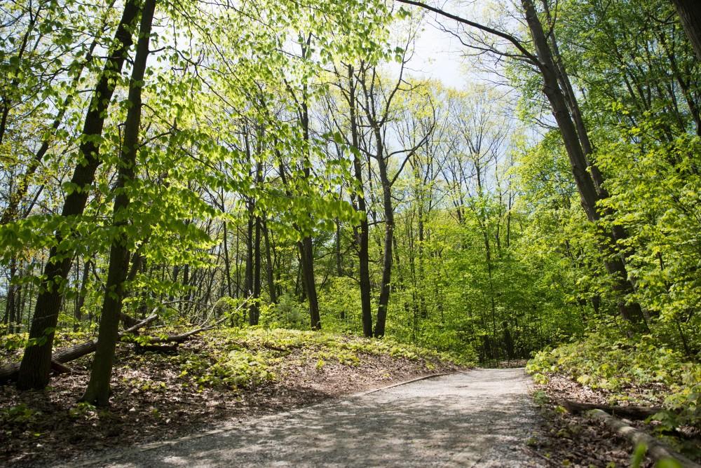 GVL / Luke Holmes - Rosy Mound Natural Area in Grand Haven offers a short hike with great views of Lake Michigan, May 16, 2017.