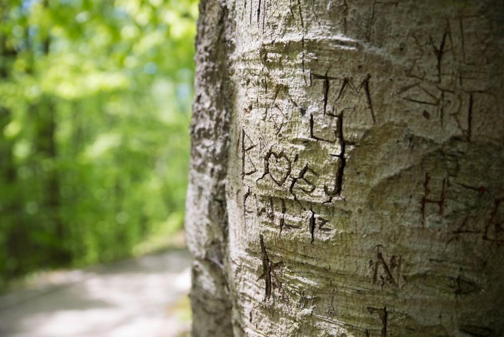 GVL / Luke Holmes - Rosy Mound Natural Area in Grand Haven offers a short hike with great views of Lake Michigan, May 16, 2017.