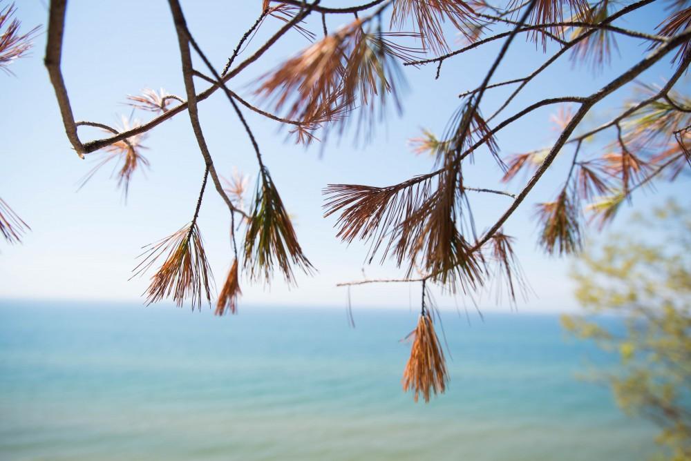 GVL / Luke Holmes - Rosy Mound Natural Area in Grand Haven offers a short hike with great views of Lake Michigan, May 16, 2017.