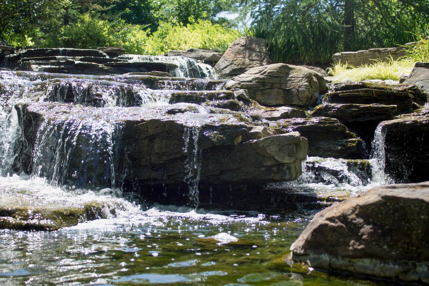 Frederik Meijer Gardens ‘Zoom In’ on women artists for Women’s History ...